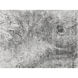 Woodland 144 X 108 inch Grey Indoor Hand-Loomed Rug, Hand-Loomed
